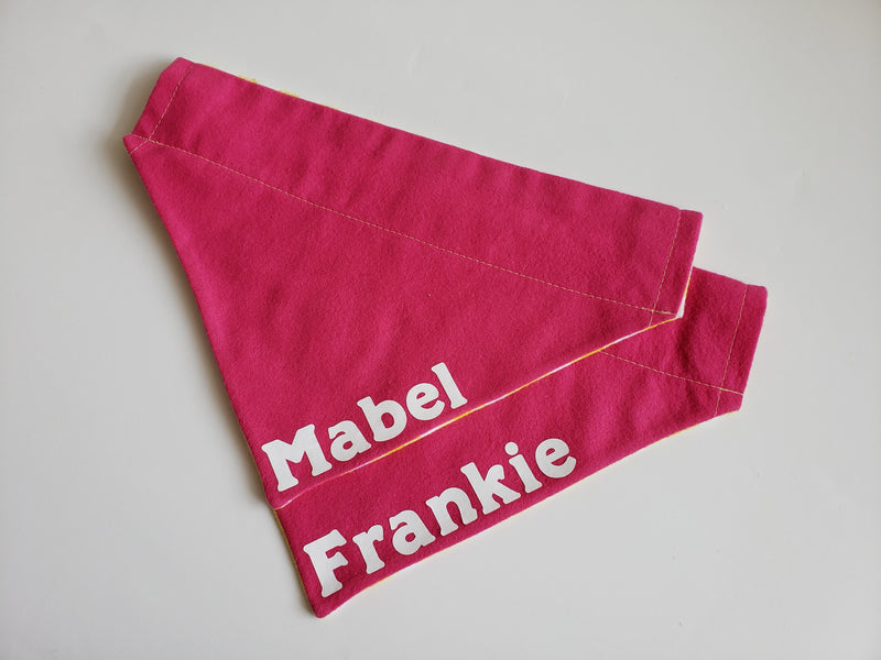 Spring and Summer Gingham Over the Collar Bandanas- for Dogs or Cats